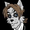 Image:Nekocatavatar3.gif