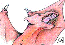 Image:Dragonslayer.GIF