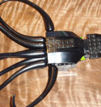 Image:gary.jpg